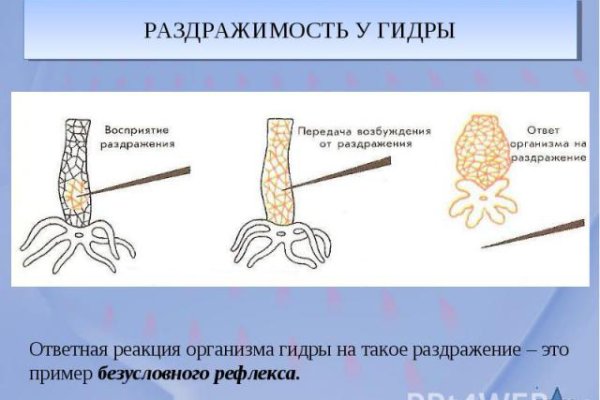 Ссылка на кракен свежая