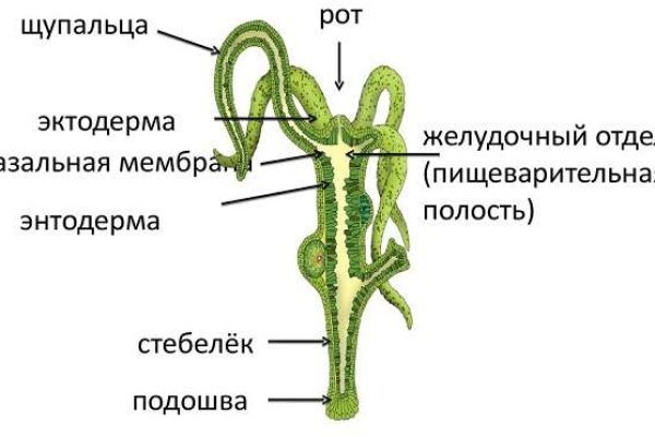Пользователь не найден кракен даркнет