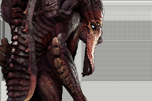 Kraken 22 аt