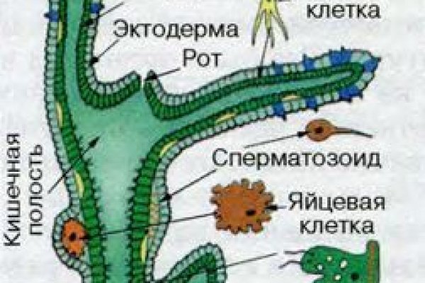 Кракен новый сайт