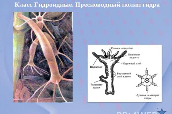 Кракен вход рабочий