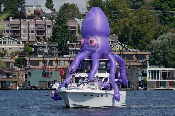 Kraken рынок