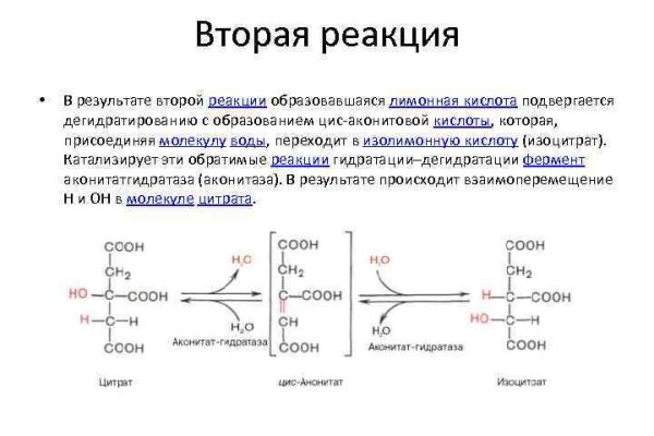 Кракен вход kr2web in