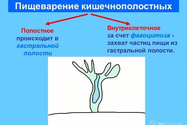 Ссылки на кракен блэкспрут