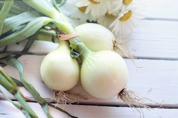 Сайты где купить наркотики