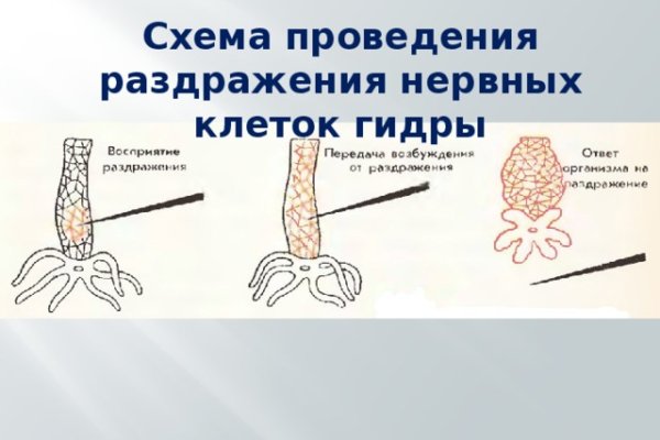 Даркнет каталог