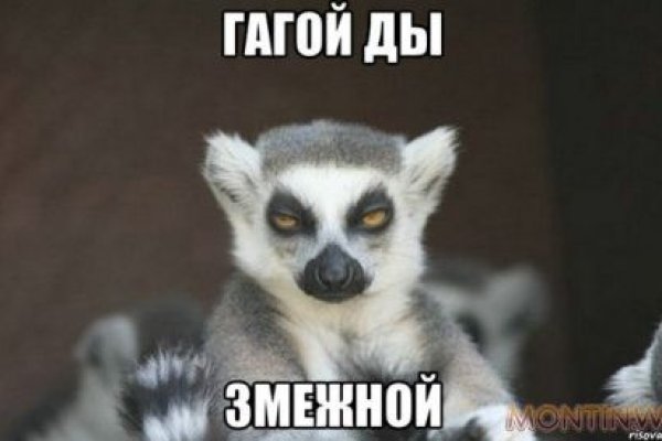 Ссылка на кракен в браузере