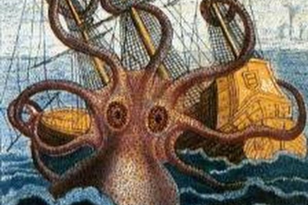 2kr pro kraken