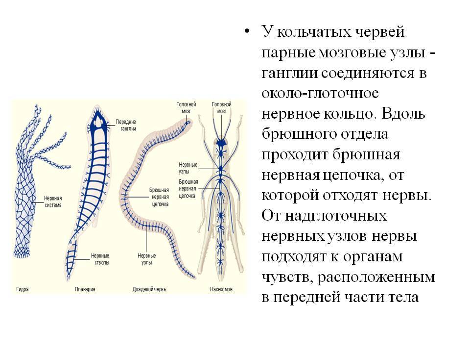 Кракен площадка зеркало